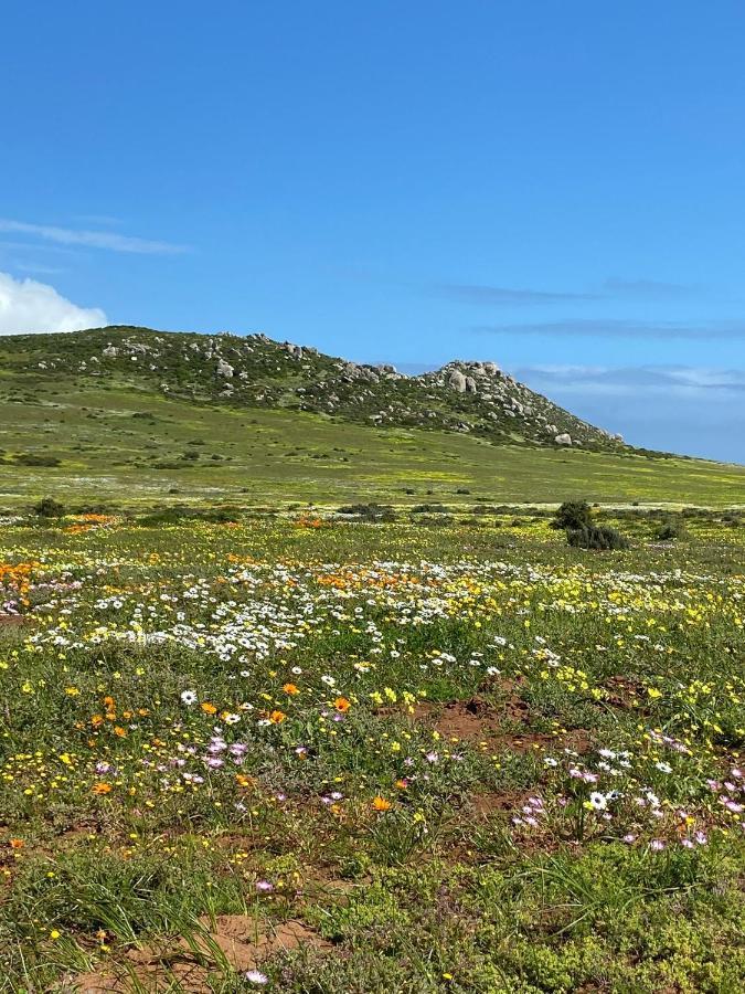 Studio On Fairway Langebaan Esterno foto
