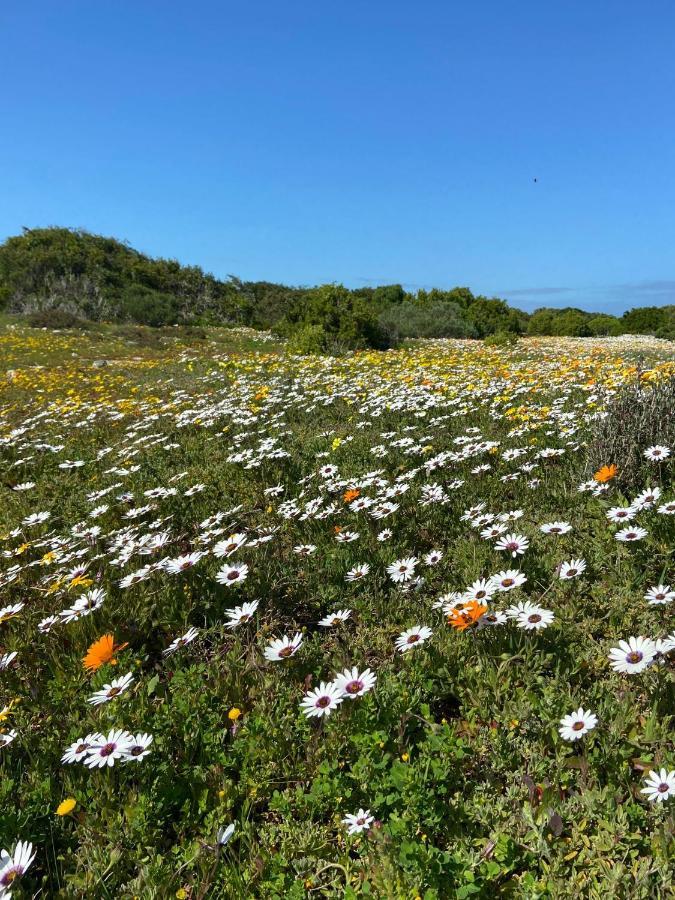 Studio On Fairway Langebaan Esterno foto